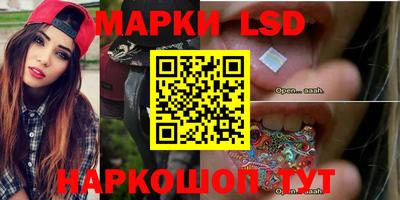 гидропоника Гатчина