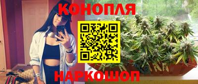 гидропоника Гатчина