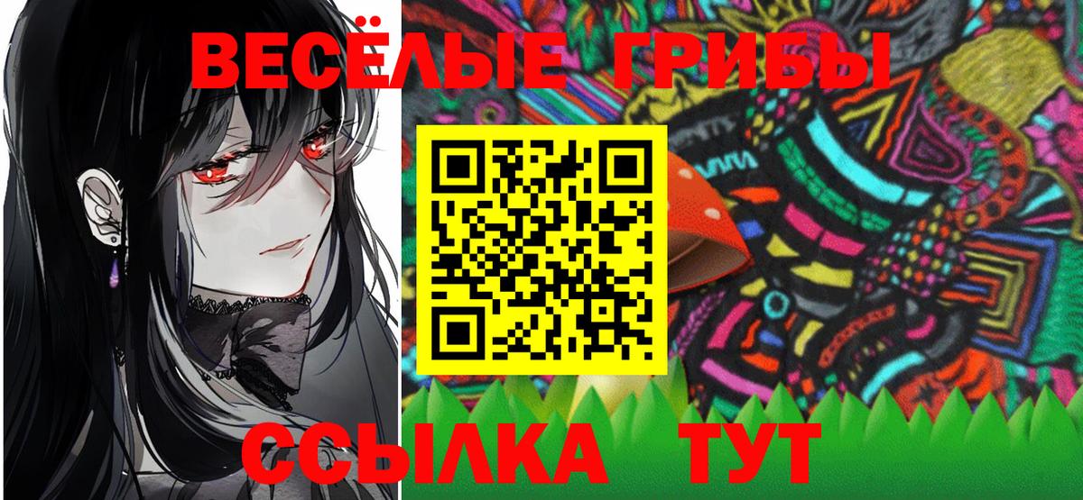 Псилоцибиновые грибы Psilocybe  Вход с VPN  купить  цена  Братск 